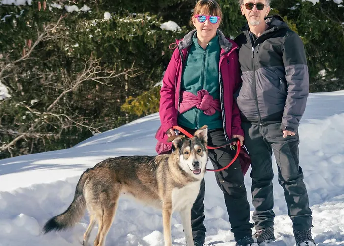 Alojamento de Acomodação e Pequeno-almoço Lavanda E Rosmarino Miasino